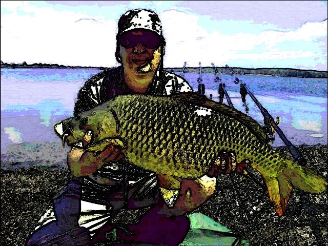 prelucrari - picsart1382194815569.jpg